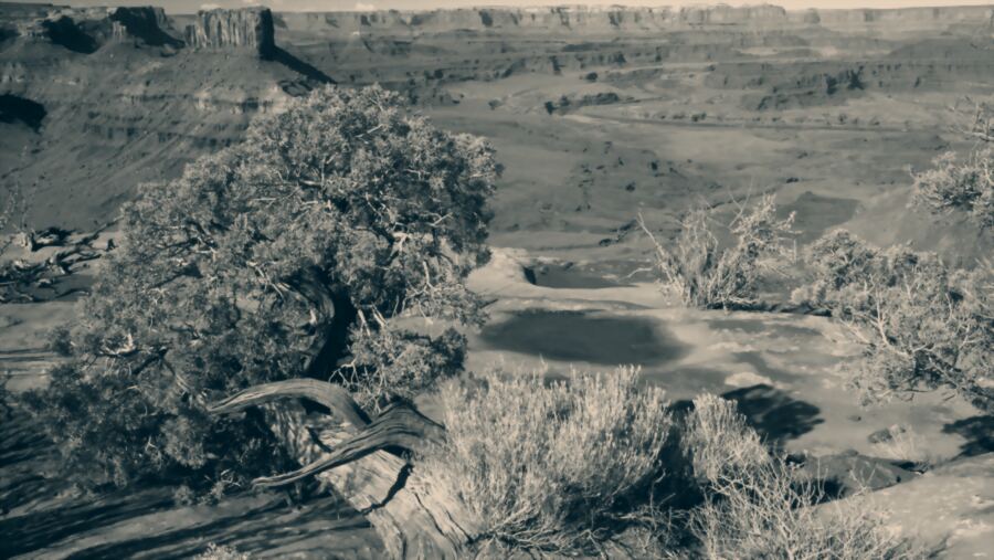 Wide arid canyon country with scattered juniper and no visible infrastructure.