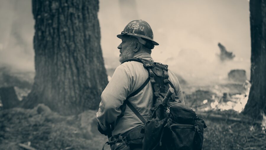 A wildland firefighter watching a prescribed burn move through standing timber.